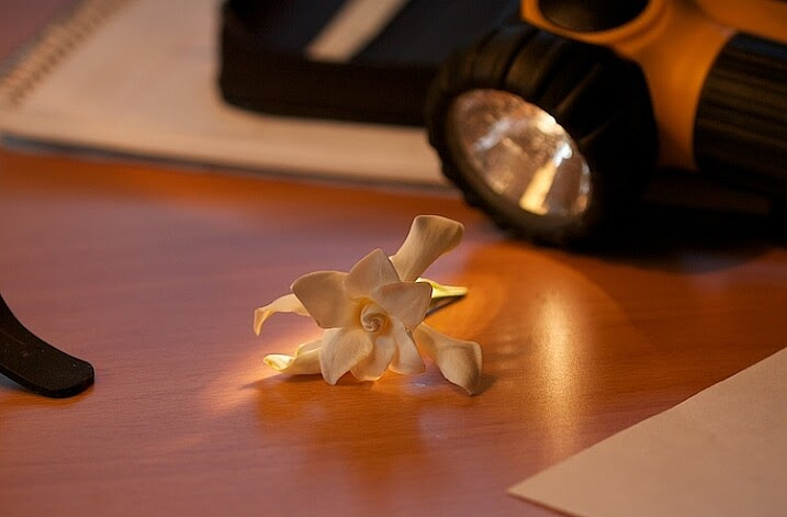 2-Light-painting-flowers-gardenia-1