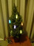 christmas tree