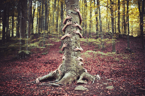 Arbol verdadero por Ibai Acevedo