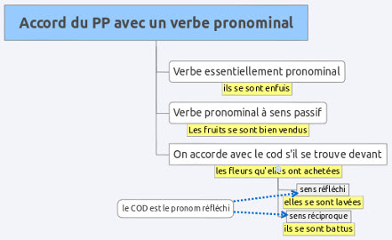 Accord Du Participe Passe D Un Verbe Pronominal Lettres Au College