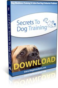 Dog Obedience Training Courses | The happy brown dog | Pinterest