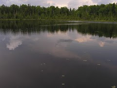 Alfred's Pond