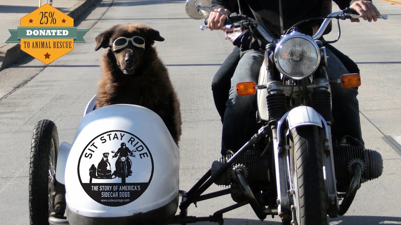 Sit Stay Ride: The Story of America's Sidecar Dogs ...