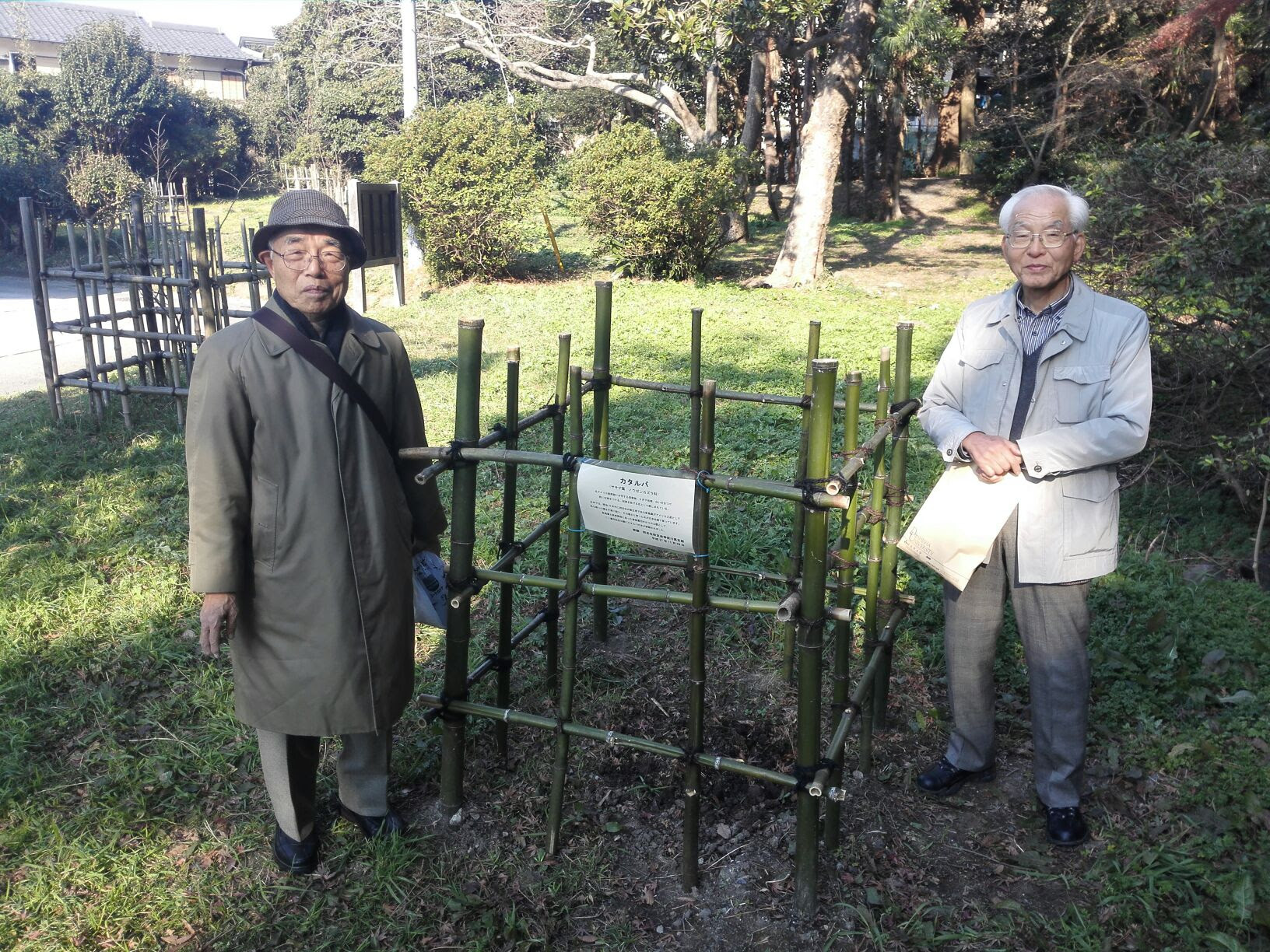 15年11月29日 蘆花記念公園 逗子市 にカタルパの苗木を寄贈して植樹 同志社校友会 神奈川県支部
