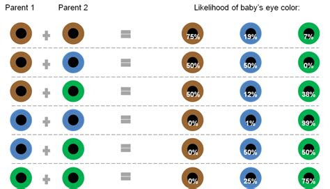  baby eye color chart
