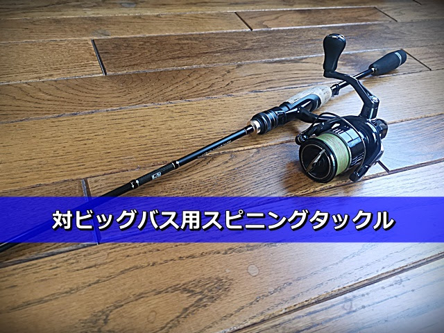 私のタックルセレクト 7 ライトリグに フルソリッド を使う理由 Deeep Stream