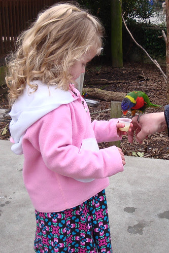 zootrip 4 (1 of 1)