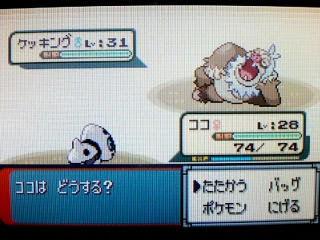 ポケモン エメラルド その３ うさぎ愛好会 旧