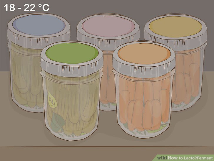 Lacto‐Ferment Step 10 Version 2.jpg