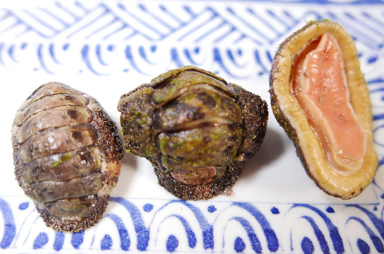 ひざら貝を食す 房州の食材その２ 房総タウン Com