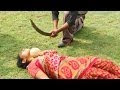 What ordeal? The sword cut through by a husband and wife ghamtima coconut :: Watch the video