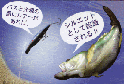 日中に釣り場チェック これ基本 日中に確認しておくべきこと チェックリスト ベイトを追い込めるシャローエリア 何を置いてもまず探すべきは バスがベイトを追い込み 捕食できるようなシャローエリア 横にイラストで説明しているので参考に