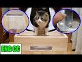 √100以上 スタイリッシュ 猫 トイレ おしゃれ 133157