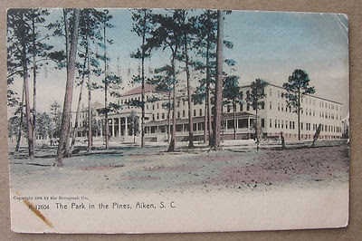 The Park in the Pines, Aiken South Carolina, 1904 Rotograph Undivided #A12604 m