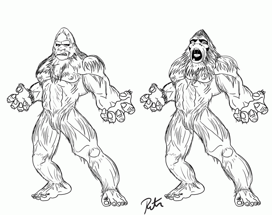 Free Finding Bigfoot Coloring Pages Download Free Finding Bigfoot Coloring Pages Png Images Free Cliparts On Clipart Library