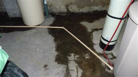 indepth question  leaking basement dirt crawlspace