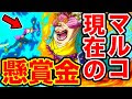 選択した画像 マルコ one piece 300399-One piece マルコ フィギュア