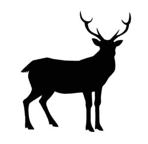 いきものづくし ものづくし１ Tsumura Illustration Studio 和風イラストレーター