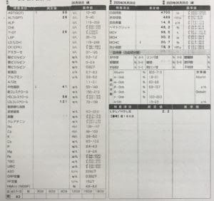 糖質制限と筋トレを行って血液検査で検証 ライザップと同じダイエット方法 リハビリテーション情報lab