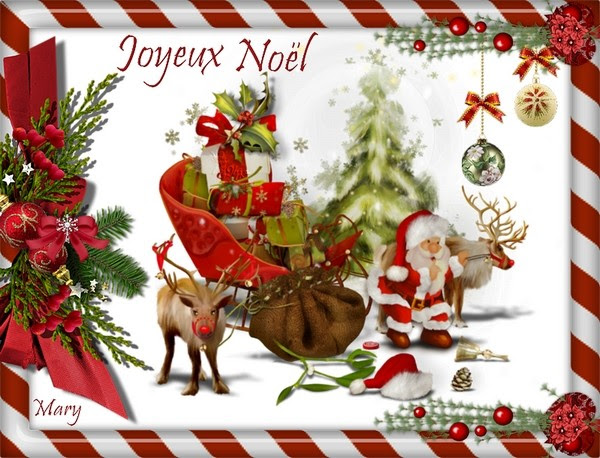 Joyeux Noel Adoption Chat Cem Montargis Loiret 45