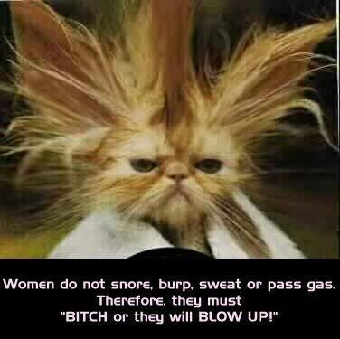Why Women Bitch