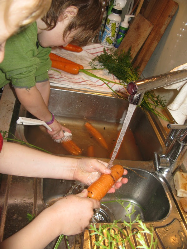 gulrotferie 2009