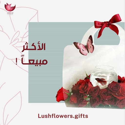 صورة