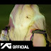 BLACKPINK - 'THE ALBUM' ROSÉ Concept Teaser Video