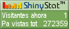 Medidor de visitantes
