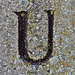 U