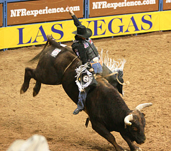 ブル ライディング Bull Riding