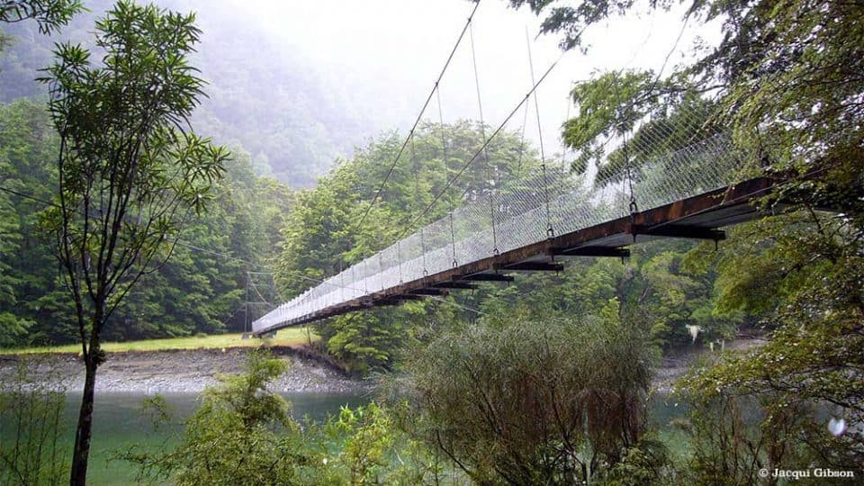 5 Great Walks in New Zealand to Enjoy - Milford Track