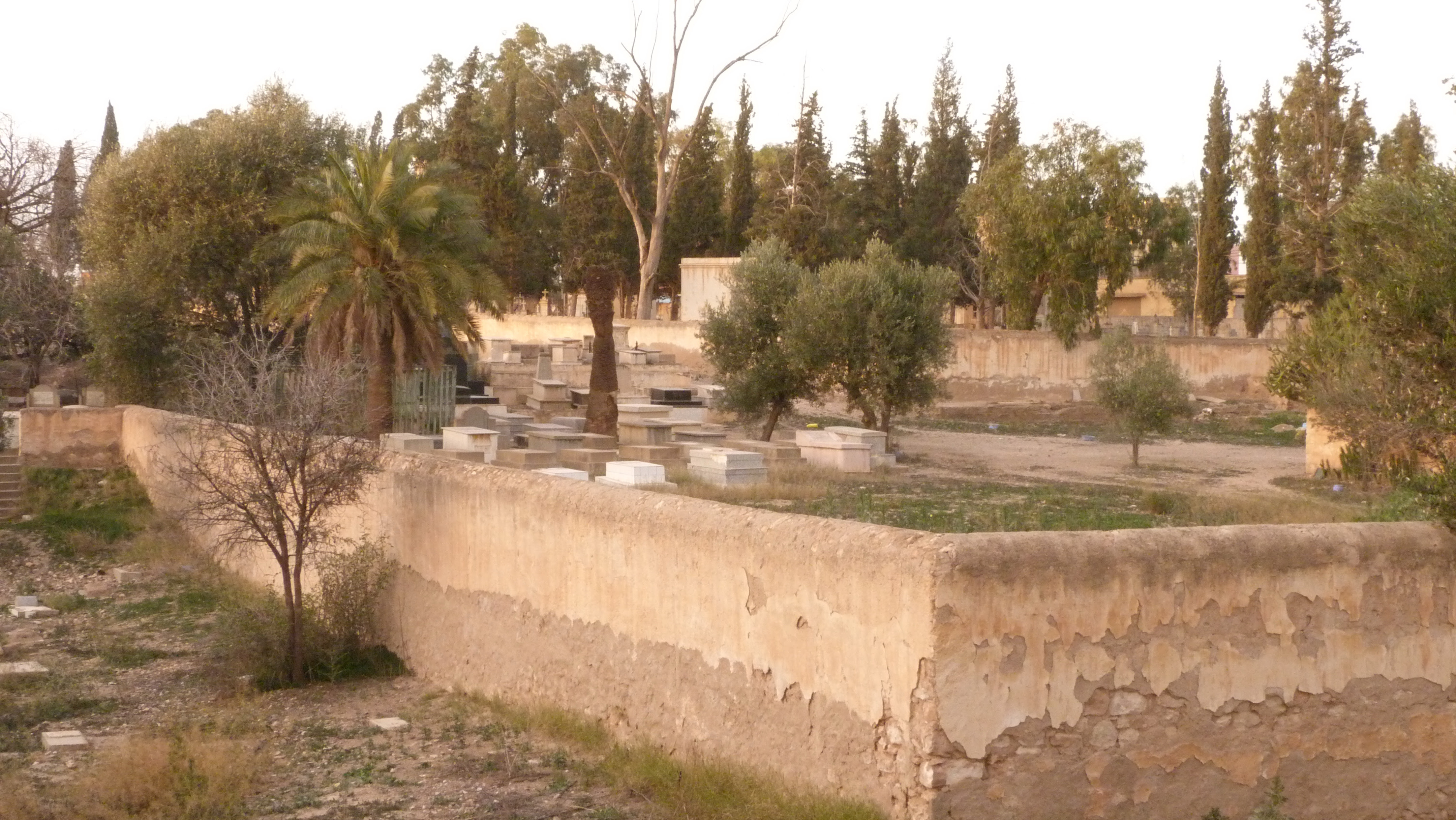 the Jewish Cemetery in Oujda, Morocco                        courtesy Wikimedia