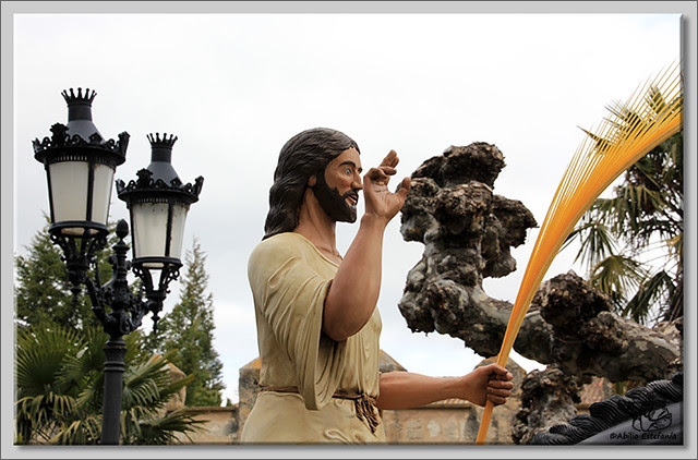 1 Domingo de Ramos en Briviesca