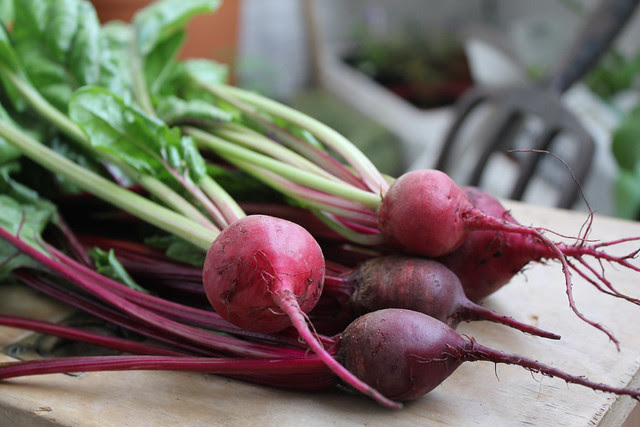 Beetroot babies