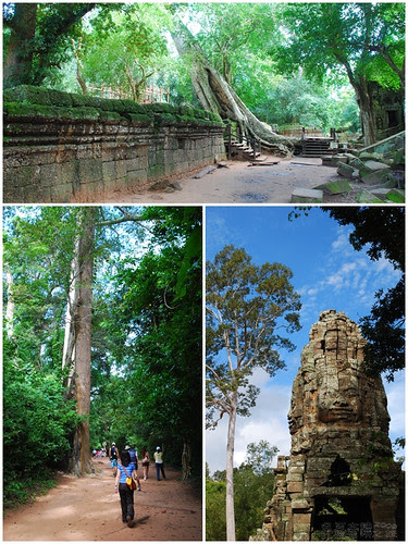 Taprohm_05
