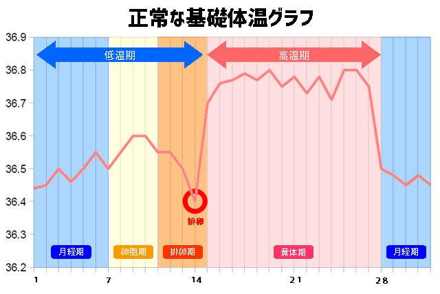 妊活ブログ 月経期 排卵期 高温期の過ごし方 天使のたまごオフィシャルブログ