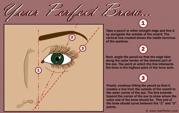 the perfect brow shape