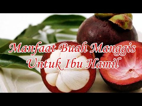 Video Manggis Aman Untuk Ibu Hamil