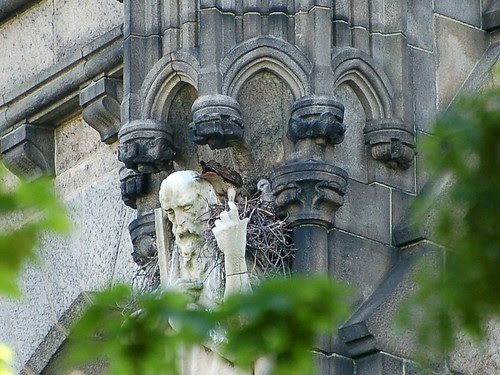 Isolde Feeds the Kids