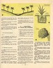 observer sc nat p42