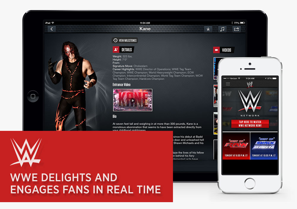 Case study wwe