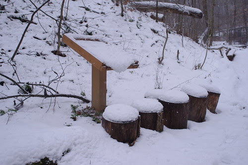 Class of stumps