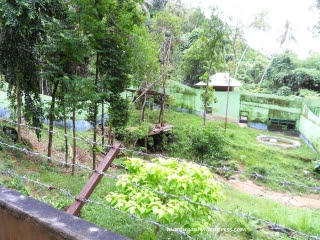 Kebun Binatang Sinka Zoo