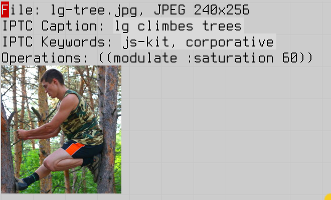 caption and keywords added