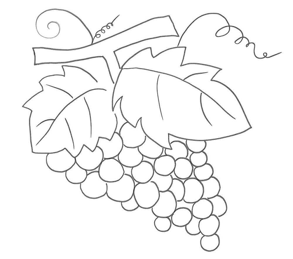 Uva disegno