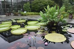 IMG_1454