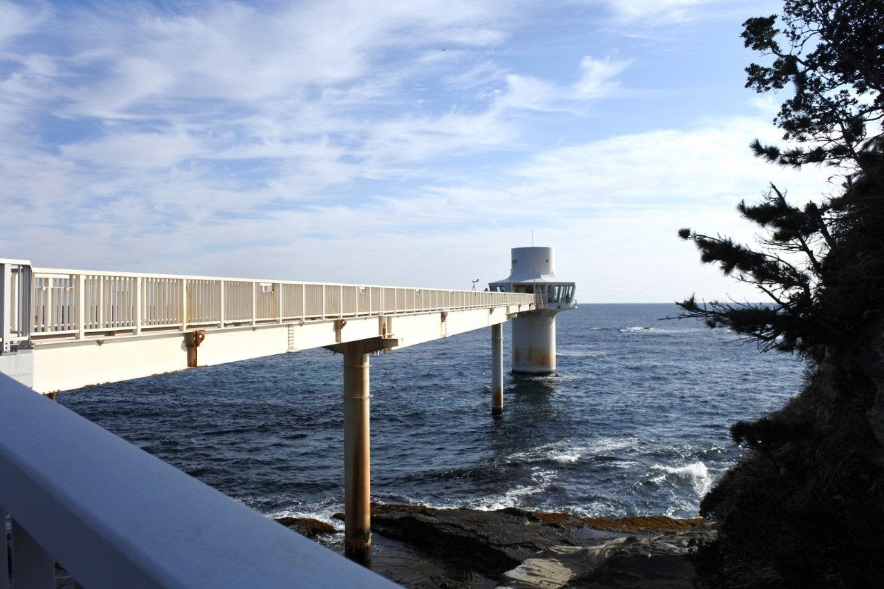 子どもも大人も夢中 千葉県勝浦 海中展望塔 と 海の博物館 は房総の海を一年中楽しめる 千葉県 Lineトラベルjp 旅行ガイド