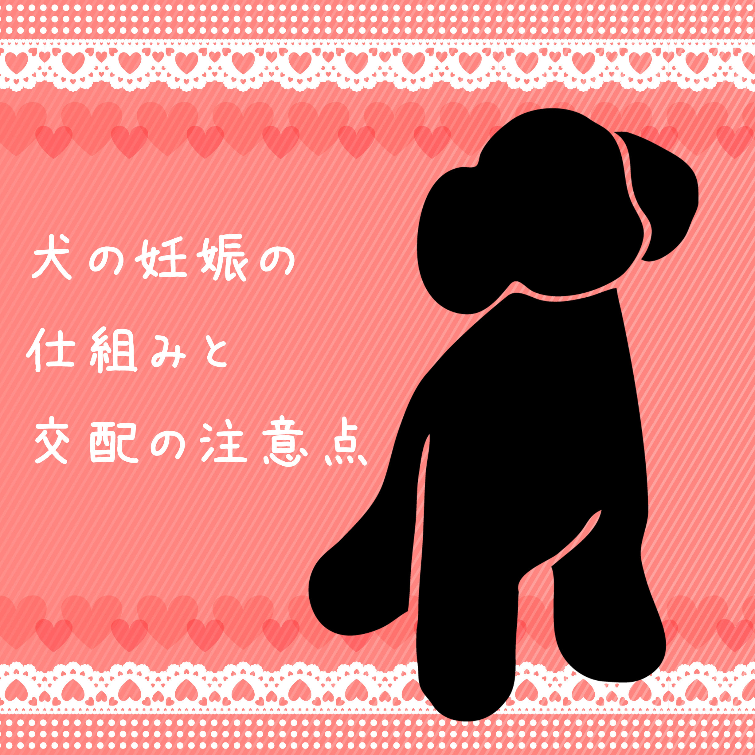 ブリーディングの前に知っておきたい 犬の妊娠の仕組みと交配の注意点