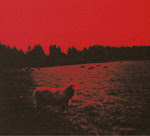 Hell See Reissue Original Recording Remastered Uk Project